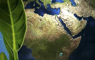 Βιοοικονομία