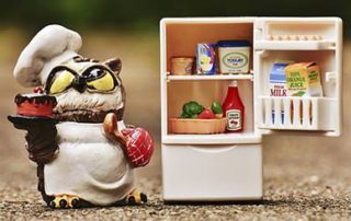 Βιο-Οικονομία - Βioeconomics