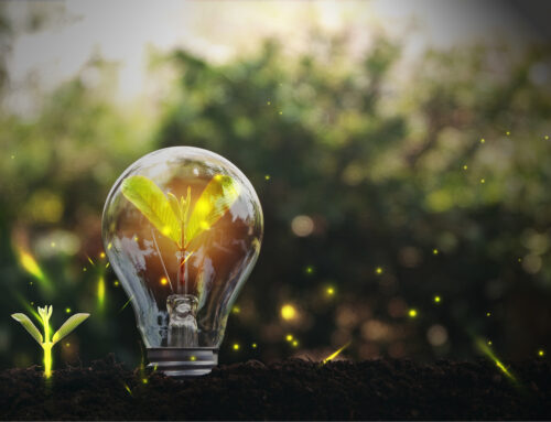 Η Διευθύντρια του ΠΜΣ, Κωνσταντίνα Κοτταρίδη, στο Fortune Greece